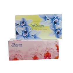 BLOSSOM FACIAL TISSUES 180 sheets 2 Ply  32/Carton