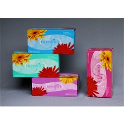 NATURESOF FACIAL TISSUES 2 PLY 180 Sheets