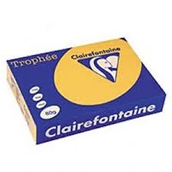 TROPHEE A4 120 GSM GOLD Pack of 250